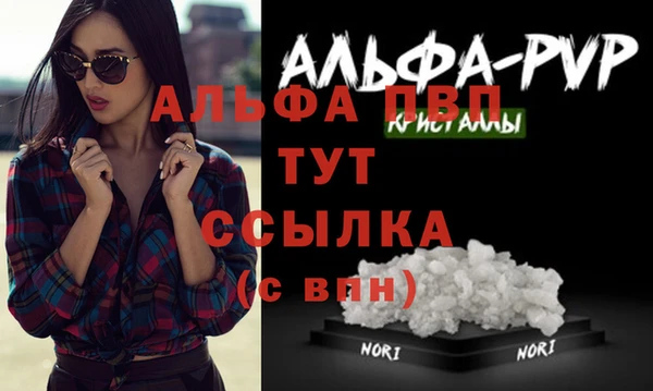 крисы Тында