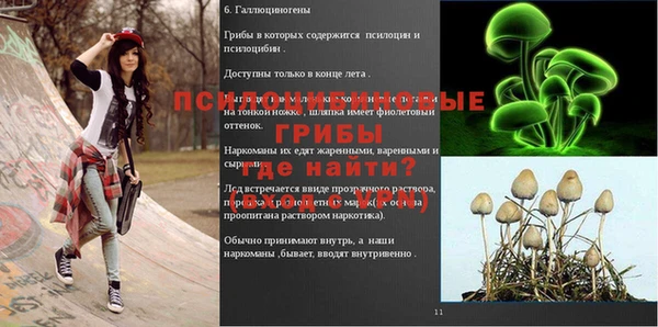 амфетамин Туринск
