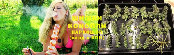 apvp Кедровый