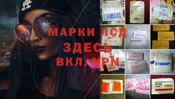 стафф Белокуриха