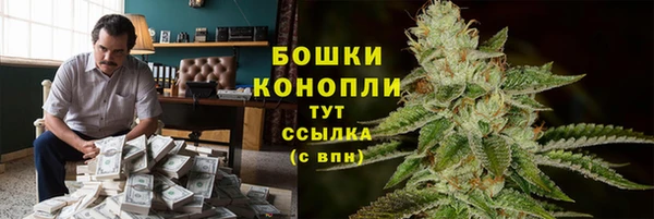 стафф Белокуриха