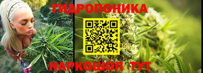jwh Донецк
