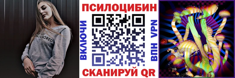 мега зеркало  Волжск  Галлюциногенные грибы Psilocybe 