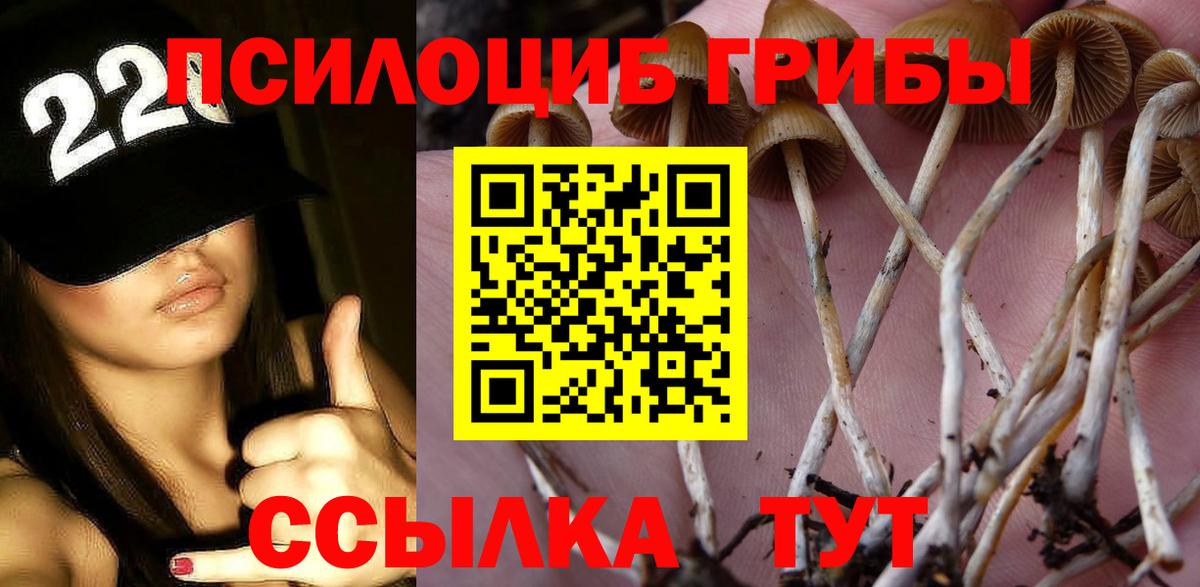 Волжск  Галлюциногенные грибы мухоморы  Вход с VPN 